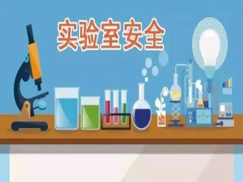 菠萝TV官网入口安全