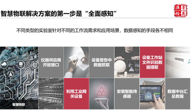菠萝TV官网入口安全