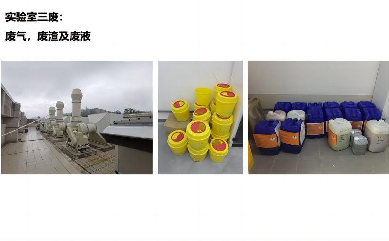 菠萝TV官网入口三廢
